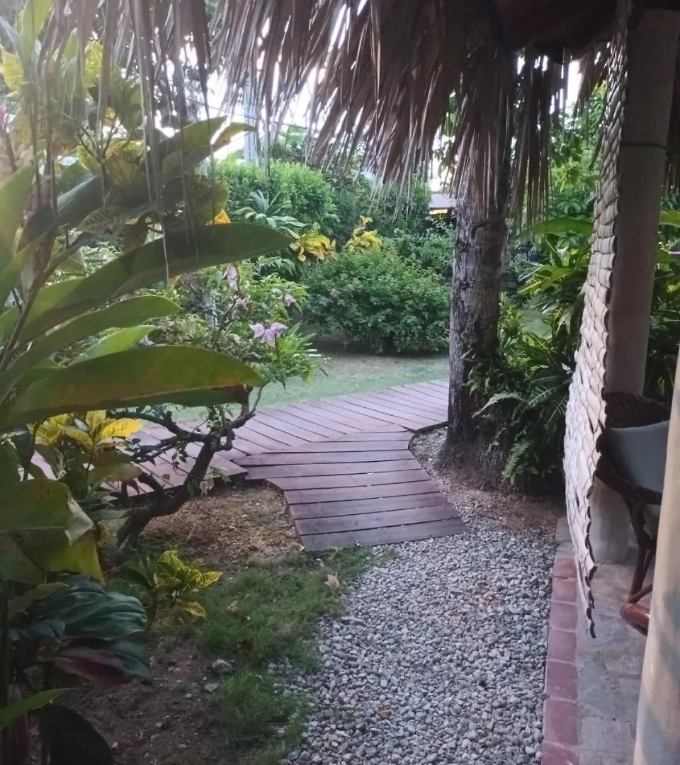 Las Terrenas Oferta Pasos Del Mar Y Pueblo Доминиканская Республика