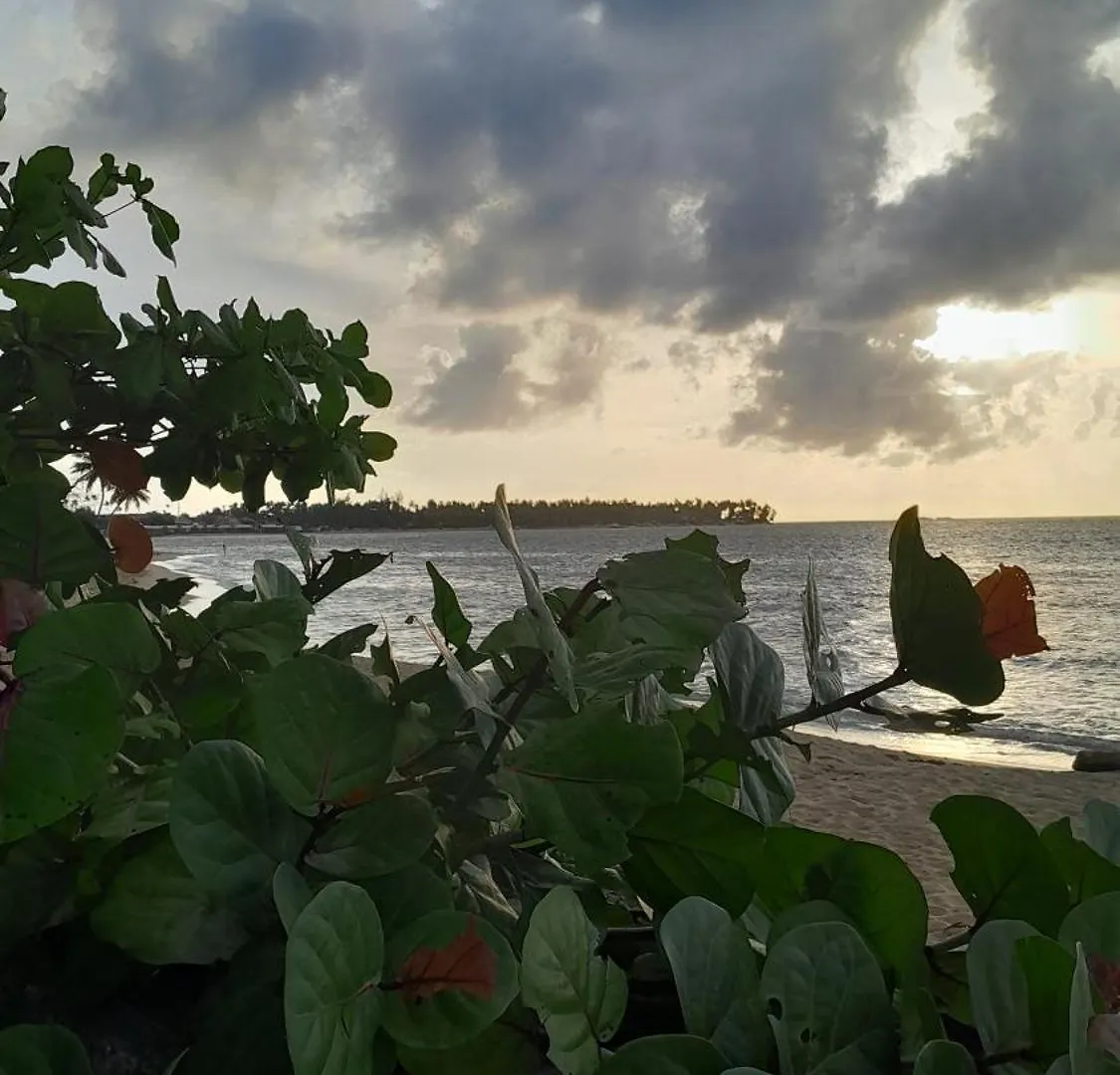 Апарт-отель Las Terrenas Oferta Pasos Del Mar Y Pueblo Доминиканская Республика