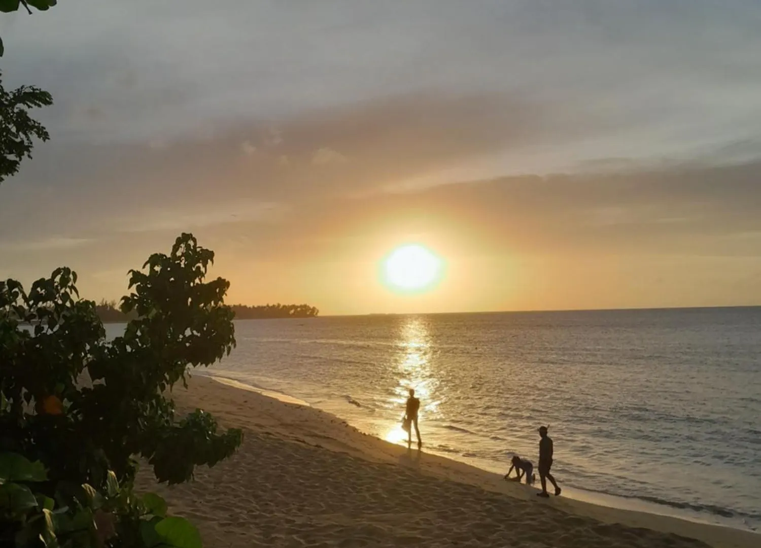 Las Terrenas Oferta Pasos Del Mar Y Pueblo Dominik Cumhuriyeti