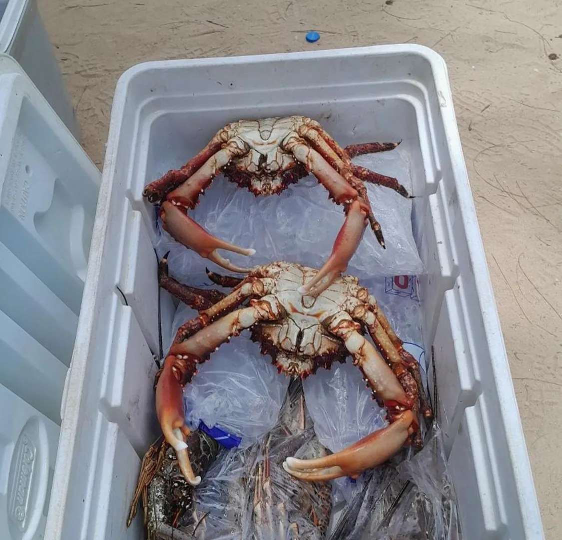 Las Terrenas Oferta Pasos Del Mar Y Pueblo Las Terrenas